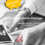 IVF cycle stimulation