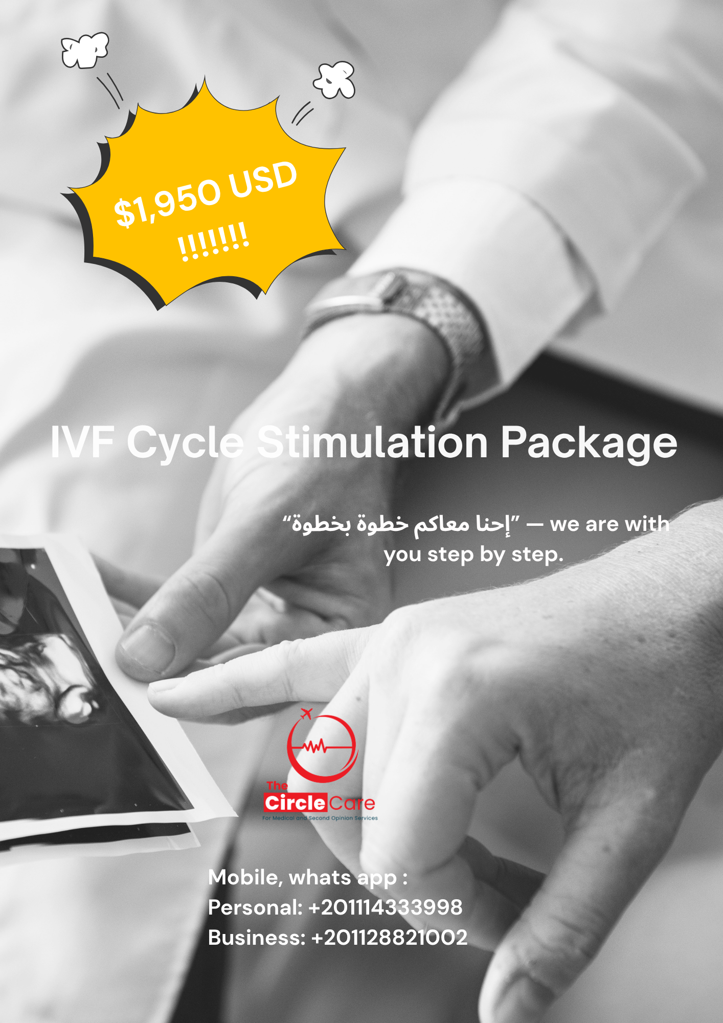 IVF Cycle Stimulation in Egypt | A Guided Journey Toward Parenthood